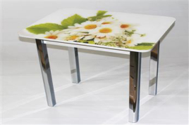 Стеклянный обеденный стол Милан 10 (фотопечать Ромашки)