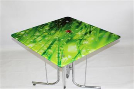 Стеклянный кухонный квадратный стол Квартоль (с фотопечатью)